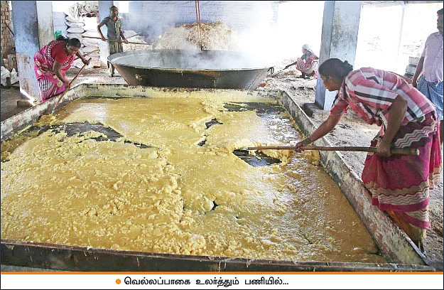 கூடுதல் லாபம் தரும் ‘சேலம்’ குண்டு வெல்லம்!