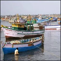ராமேஸ்வரம் மீனவர்கள் வேலை நிறுத்தம் வாபஸ்!