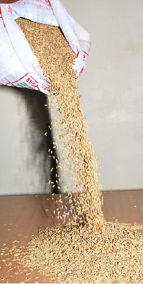 கார்ப்பரேட் விவசாயம்... கஞ்சிக்கே ஆபத்து!