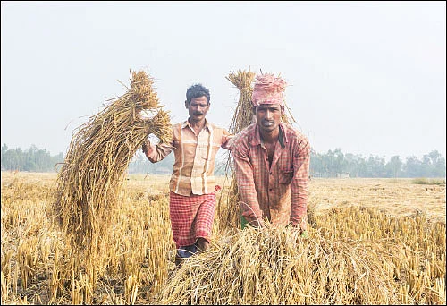 உலகம் சுற்றும் உழவு!
