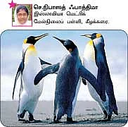 சுட்டி நியூஸ் !