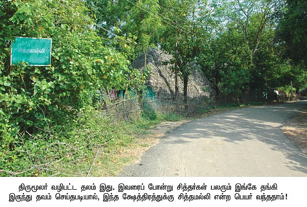 சித்தமெல்லாம் சித்தமல்லி!