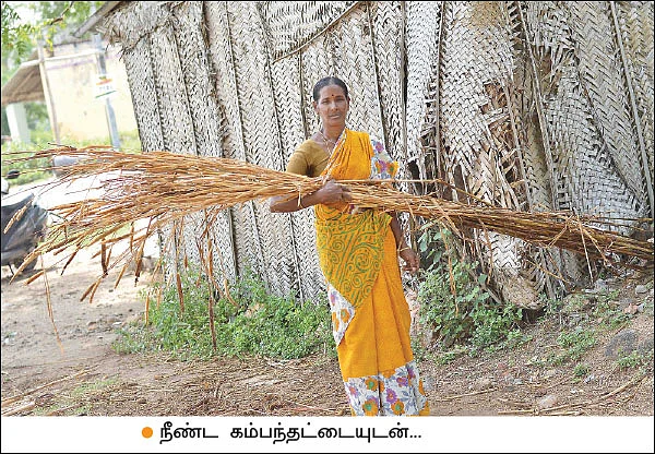 ஒரு ஏக்கர்... 120 நாள்கள்... ரூ.37,000 - நல்ல விளைச்சல் தரும் நாட்டுக் கம்பு!