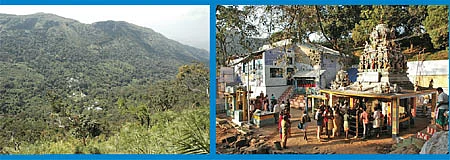 அருள் பொங்கும் ஆடி அமாவாசை!