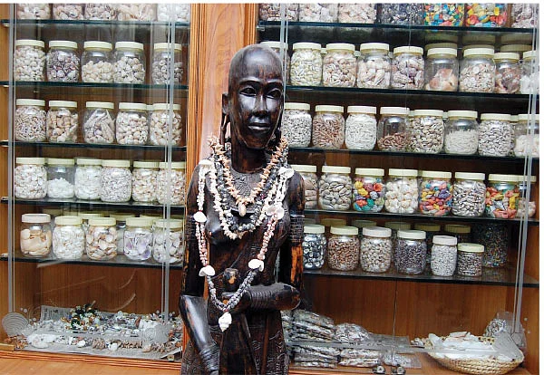 ஏற்றம் தரும் ஏற்றுமதி தொழில்கள் - 29