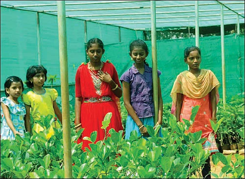 விவசாயப் பண்ணைக்கு ஒரு விசிட்!