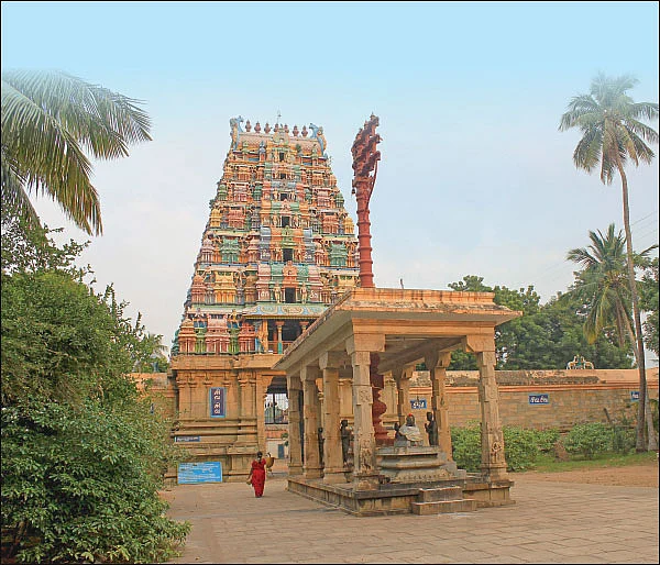 பிணிக்கு மருந்தாகும் பிரசாதத் திருநீறு!