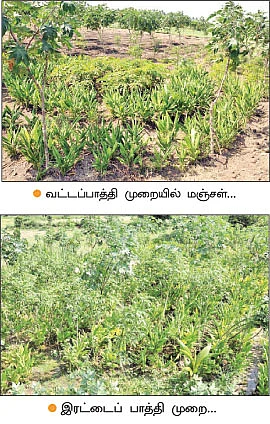 60 சென்ட் நிலத்தில் 60 பயிர்கள்...