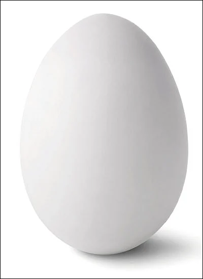 முட்டை ‘Eggs’ clusive தகவல்கள்