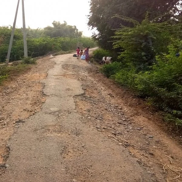 மோசமான நிலையில் கொள்ளிடம் ஆற்றின் கரை சாலை -பொதுப்பணித்துறையின் அலட்சியம் என குற்றச்சாட்டு
