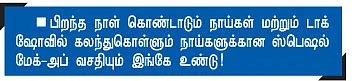 பப்பிக்கு பல் விளக்கி விடணும்!