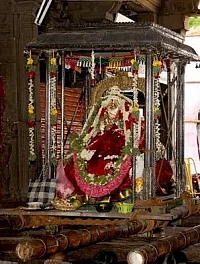 நெல்லையப்பர் கோயிலில் ஆனித் தேரோட்ட திருவிழா! (படங்கள்)