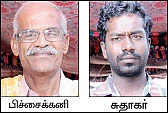 பென்ஷன் கொடுக்கும் மரங்கள்..!