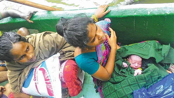 படகில் 'குவா குவா'!