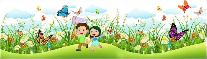 பட்டாம்பூச்சியின் இறகும் நானோ தொழில் நுட்பமும்!