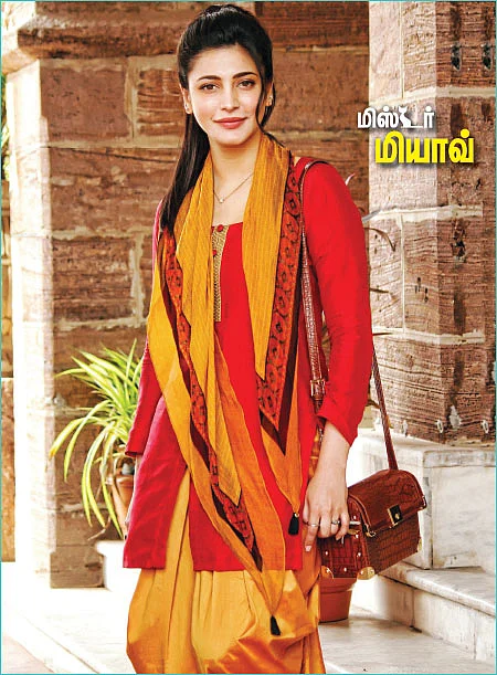 மிஸ்டர் மியாவ்
