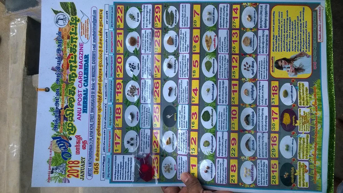 மூலிகை நாள்காட்டி வழங்கி அசத்தும் ஓவியர்..!