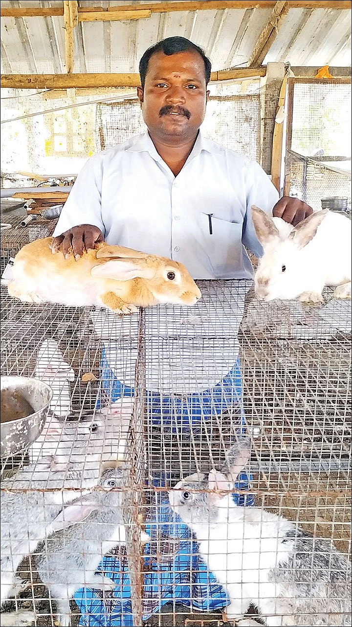 பணம் குவிக்கும் பண்ணைத்தொழில்கள் - 7 - மாதத்துக்கு ரூ. 45,000 லாபம்!
