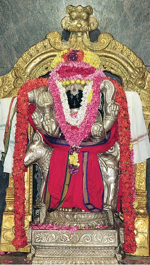 பைரவ தரிசனம்!