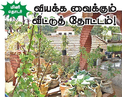 அழகா செய்தால் அள்ளலாம் லாபம்! - 6