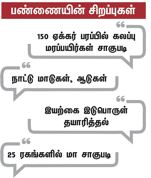 ஒரு நாள் விவசாயி! பருவம் - 2 - மா சாகுபடி, ஆண்டுக்கு ரூ 20 லட்சம் - நேரடி விற்பனையில் நிறைவான வருமானம்!