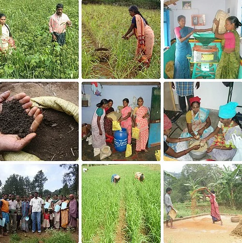 அபூர்வ மூலிகைகள்...சிறுதானியங்கள்...கொல்லிமலை சொல்லும் ரகசியங்கள்!