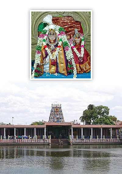 பிணிகள் தீர்ப்பாள் பாகம்பிரியாள் !