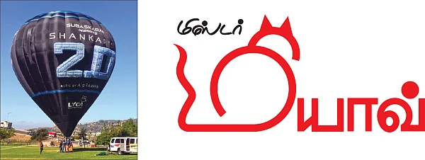 மிஸ்டர் மியாவ்