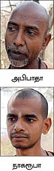 அபாயக் கட்டத்தில் மேற்குத் தொடர்ச்சி மலை!