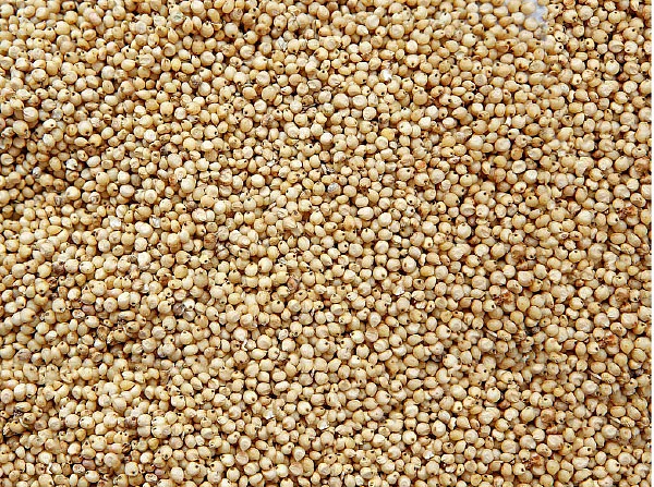 அவ்வளவும் சத்து - தானியங்கள் பருப்புகள் பலன்கள்!