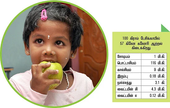 சர்க்கரை நோயைத் தடுக்கும் பேரிக்காய்!