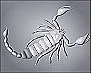 ராசிபலன்கள்