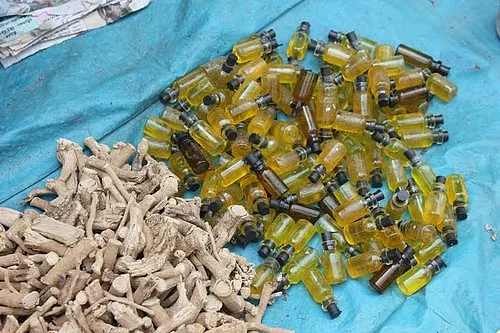 ரூ.20க்கு தேள்கடி மருந்து...!