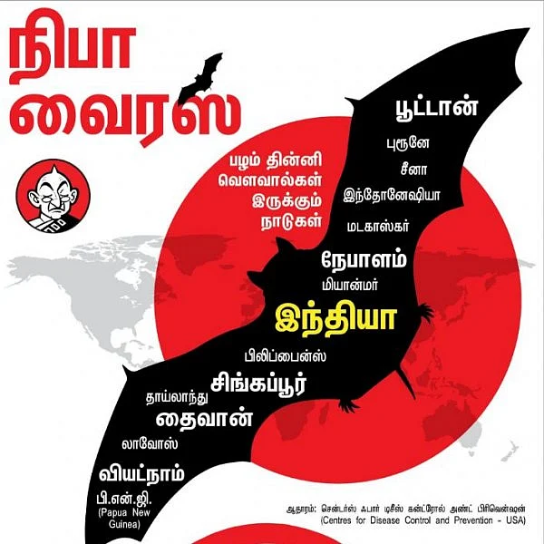 நிபா... அறிகுறிகள், பாதிப்புகள், தற்காப்பு வழிமுறைகள்! #NipahVirus #VikatanInfographics