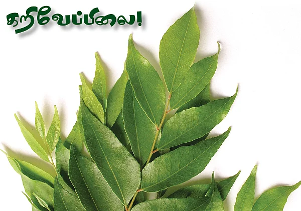 நம்ம ஊரு வைத்தியம் - 10