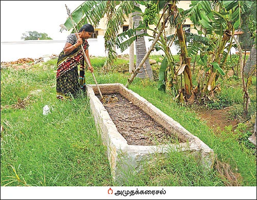 கலப்புப் பயிர் சாகுபடி... கையைக் கடிக்காத வருமானம்!
