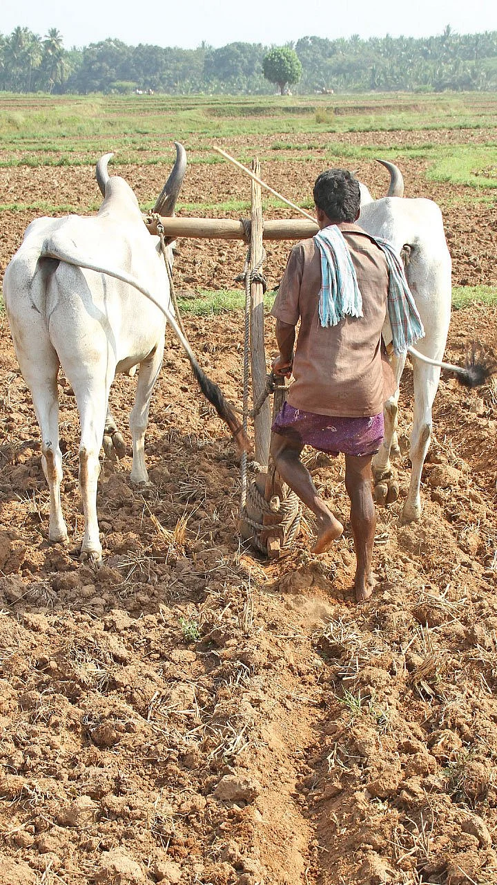 மண், மக்கள், மகசூல்! - உங்கள் நிலத்திலேயே உரத்தொழிற்சாலையை உருவாக்கலாம்..!