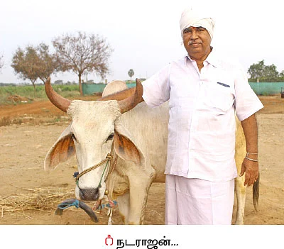 பஞ்சகவ்யா - 11