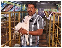 ஆறே மாதத்தில்... 69 ஆயிரம்... அசத்தல் வருமானம் தரும் ஆடு வளர்ப்பு...