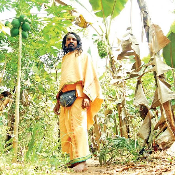 அரை ஏக்கர்... ஆண்டுக்கு ரூ. 3,00,000 லாபம்! - பலபயிர்ச் சாகுபடியில் பலமான வருமானம்!