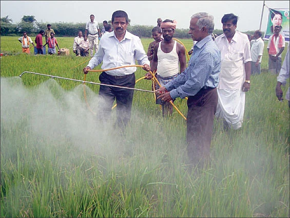 கடும்வறட்சியிலும், கரையாத பசுமை... பயிருக்கு உயிர் கொடுக்கும் பலே பாக்டீரியா..!