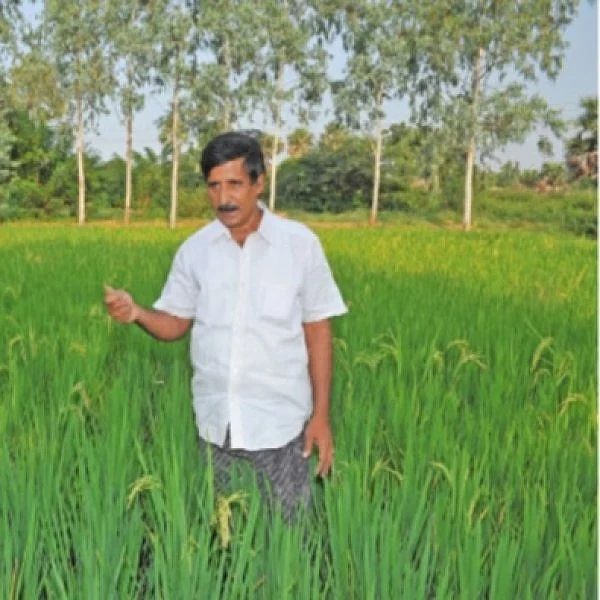 Paddy, Papaya, Vegetables and Ornamental plants... A victorious award heaping farmer!