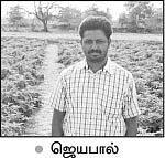 இயற்கையில் இனிக்கும் கத்திரி!