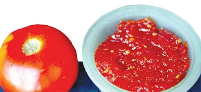 ஆண்டு முழுவதும் ஒரே விலை!.