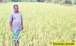 9 ஏக்கர்...8 லட்சம்....