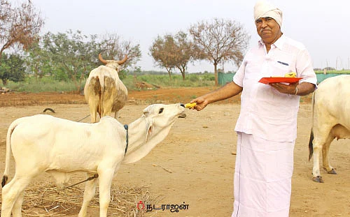 பஞ்சகவ்யா - 4