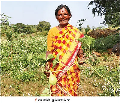 மொச்சை, வெள்ளரி, வரகு... ‘விதைகளின் தாய்’ ஒம்பாலம்மா!