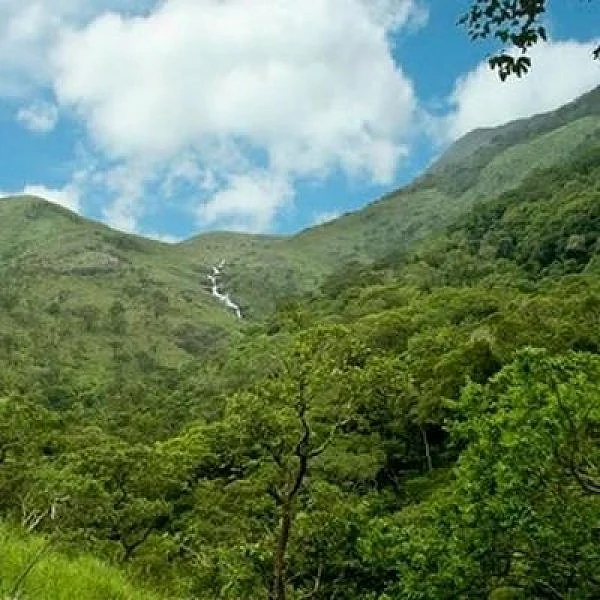 தீவினைபோக்கி நல்லருள் தரும் குருவழிபாடு - மஹான் சேஷாத்திரி சுவாமிகளின் 149-ம் ஆண்டு ஜயந்தி வழி