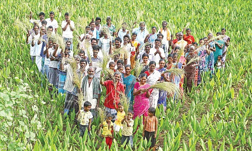 மாற்றுச் சந்தைக்கு மதிப்புக்கூட்டல் முக்கியம்! - விளையும் விலையும்! - 18