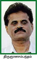 சீனித்துளசி... செழிப்பான வருமானம்!